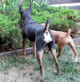 Enlarge photo 4
