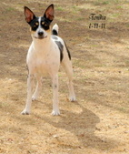 Enlarge photo 3