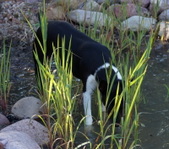 Enlarge photo 5