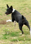 Enlarge photo 7