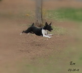 Enlarge photo 11