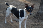 Enlarge photo 4