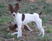 Enlarge photo 4