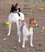 Enlarge photo 11