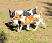 Enlarge photo 10