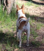 Enlarge photo 6