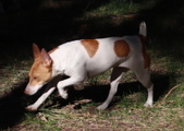 Enlarge photo 8