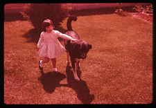 Enlarge photo 38