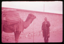 Enlarge photo 11