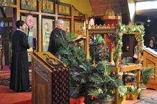 Enlarge photo 173