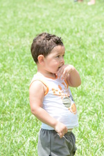 Enlarge photo 262