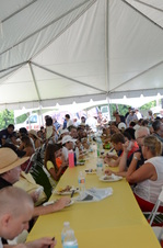 Enlarge photo 62