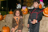 Enlarge photo 171