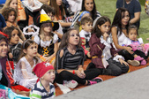 Enlarge photo 179