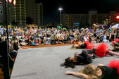 Enlarge photo 63