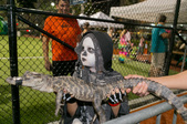 Enlarge photo 91