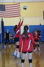 Enlarge photo 168