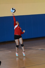 Enlarge photo 216