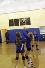 Enlarge photo 49