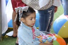 Enlarge photo 61