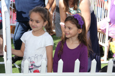 Enlarge photo 115