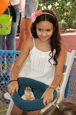 Enlarge photo 135
