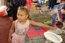 Enlarge photo 136