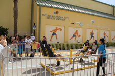 Enlarge photo 146