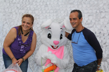 Enlarge photo 179
