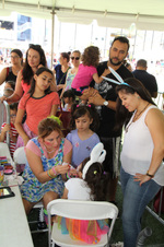 Enlarge photo 246