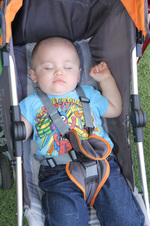 Enlarge photo 250