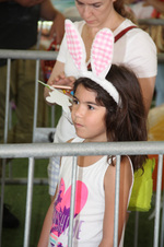 Enlarge photo 253