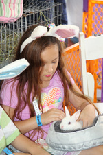 Enlarge photo 288