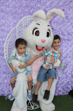 Enlarge photo 12