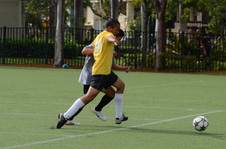 Enlarge photo 35