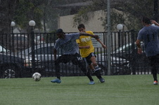 Enlarge photo 42