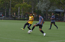 Enlarge photo 47