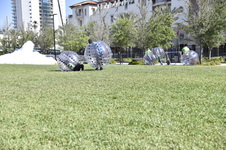 Enlarge photo 52