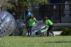 Enlarge photo 93