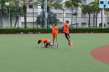 Enlarge photo 21