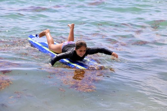 Enlarge photo 65