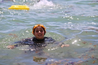 Enlarge photo 83