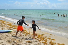 Enlarge photo 8