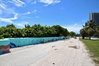 Enlarge photo 32