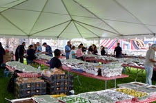 Enlarge photo 216