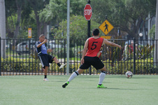 Enlarge photo 37