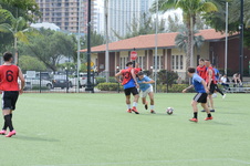 Enlarge photo 47
