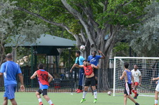 Enlarge photo 49