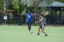 Enlarge photo 51