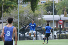 Enlarge photo 59